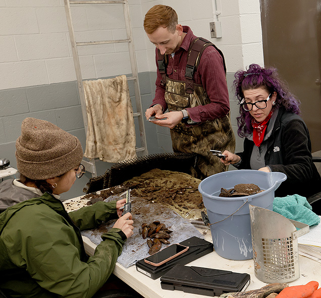 Academy Staff measuring mussels